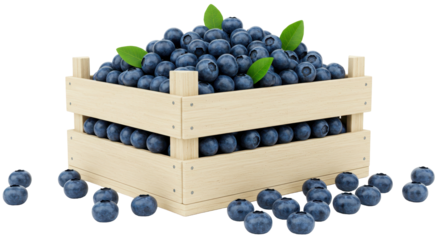 Isolated Blueberries with Green Leaves in Wooden Crate