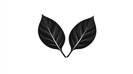 Two black leaves forming a stylish and elegant design