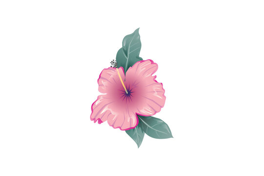 pink hibiscus flower with green leaves clip art preview