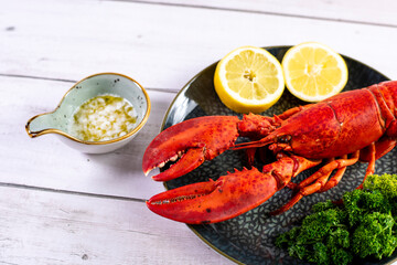 Close up of fresh steamed lobster with herbs