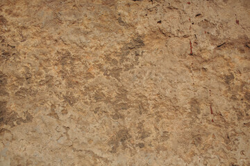 Naklejka premium This is a beautifully textured wall showcasing intricate natural patterns and exquisite details