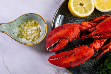 Close up of fresh steamed lobster with herbs