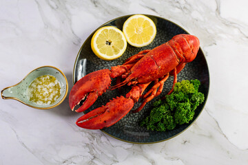 Close up of fresh steamed lobster with herbs