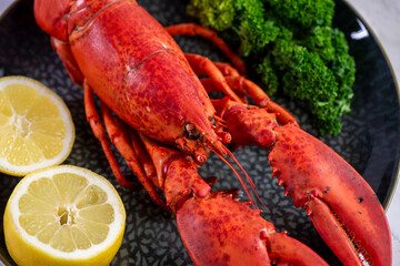 Close up of fresh steamed lobster with herbs