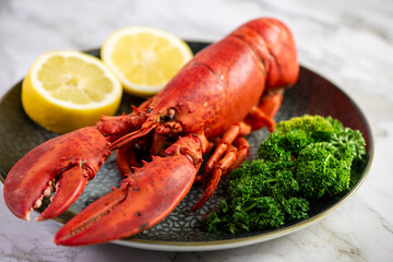 Close up of fresh steamed lobster with herbs