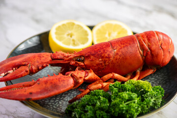 Close up of fresh steamed lobster with herbs
