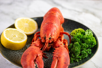 Close up of fresh steamed lobster with herbs