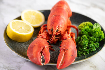 Close up of fresh steamed lobster with herbs