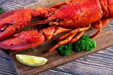 Red lobster on wooden cutting board 