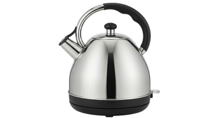 Isolated Stainless Steel Kettle