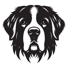 Saint Bernard Dog Breed Vector Head with Strong Face Features