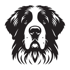 Majestic Saint Bernard Dog Breed Portrait Vector Illustration Art