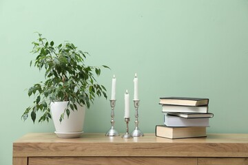 Houseplant and other decor on wooden cabinet near green wall indoors