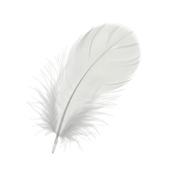 Fototapeta premium Elegant White Feather High-Resolution Image for Design and Art Projects