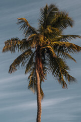 Obraz premium Paradise architecture, Africa, Zanzibar, beach hotel, swimming pool, drone, palms 