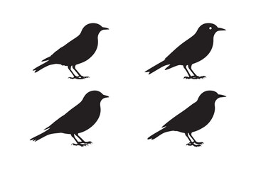 Bird Silhouette Clipart Sparrow Vector Blackbird Outline Illustration 
