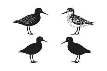Shorebird Silhouette Vector Wading Bird Illustration for Nature Art