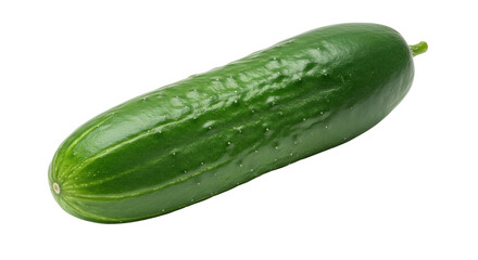 Isolated Single Cucumber