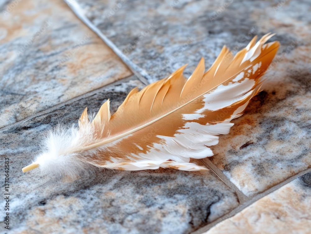 Poster Close-up of a feather with shades of brown and white resting on a tiled surface capturing intricate details and texture