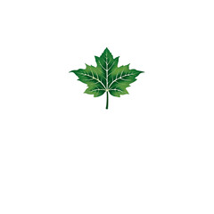 Logo for branding 