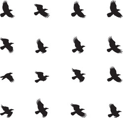 Obraz premium Seamless Pattern of Flying Crows in Silhouette