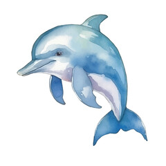 dolphin cute watercolors illustration on white background