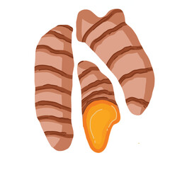 Turmeric roots with a freshly cut piece revealing its bright golden-orange core. A powerful spice known for its health benefits and rich aroma.