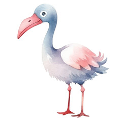 flamingo cute watercolors illustration on white background