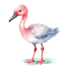 flamingo cute watercolors illustration on white background