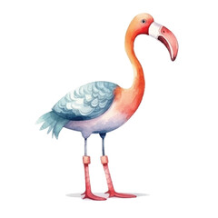 flamingo cute watercolors illustration on white background