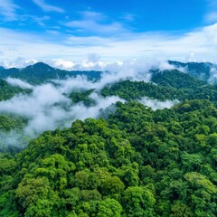 Aerial view of lush green rainforest mountains on a partly cloudy day. Mist and clouds partially cover the mountain peaks.
