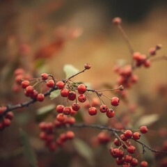 Natural earth tones thick foggy surroundings blurred bokeh effect. Seamless pattern of cherry berries, unusual art photography. Warm soft dreamy atmosphere, smoky soft light, soft contrast, soft satur