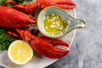 Close up of fresh steamed lobster with herbs