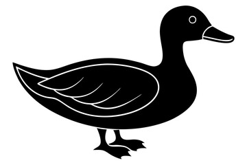 duck isolated on white