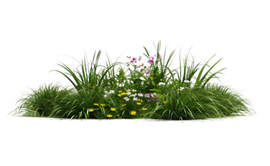 A bush made with grass and wildflowers isolated on white background PNG. GENERATIVE AI