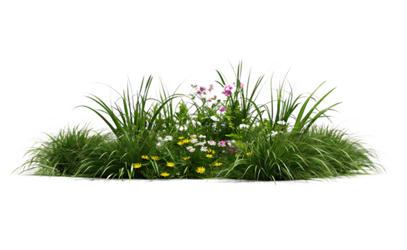 A bush made with grass and wildflowers isolated on white background PNG. GENERATIVE AI