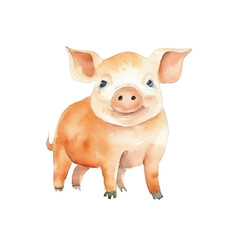 happy pig cute watercolors illustration on white background