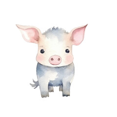 happy pig cute watercolors illustration on white background