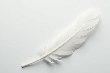 Obraz premium Close-up shot of pristine white feathers on a seamless white backdrop, detail, soft