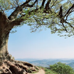 Cool Breeze and Endless Blue Skies