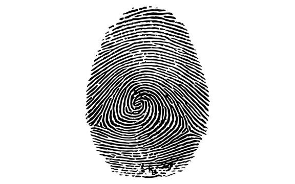 Finger Print Vector Art stock image, Thumbprint png image, Fingerprint Images, Finger print Royalty Free Vector Image
