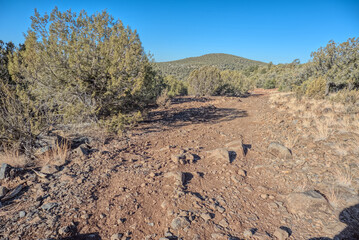 Rocky Forest Service Road in the Kaibab National Forest AZ