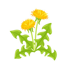 A whimsical vector illustration of a dandelion, showcasing its delicate seeds blowing in the wind. The vibrant greens of the stem and leaves