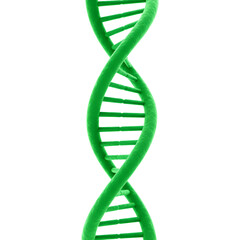 3D Render of a Green DNA Double Helix on Transparent Background