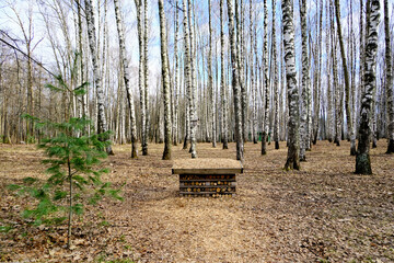 A lodge, a hotel for beetles, butterflies, and other insects created by man