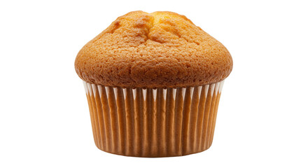 Isolated Cupcake