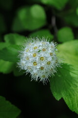 young woman in wheelchair is in room near mirror door