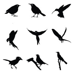 Birds silhouettes vector. Birds Silhouettes. Sparrow Silhouette. Raven Silhouette. Large Animal Silhouette Collection.