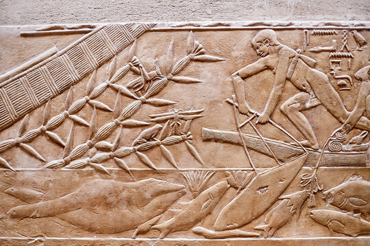 Precise depiction of boat fishing from the tomb of Kagemni showing a man in a reedbow, various fish in the river Nile, plant with a grasshopper and a frog, Saqqara, Egypt