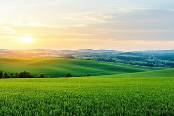 Fototapeta premium Breathtaking sunrise over lush green fields scenic countryside landscape photography tranquil environment wide-angle view